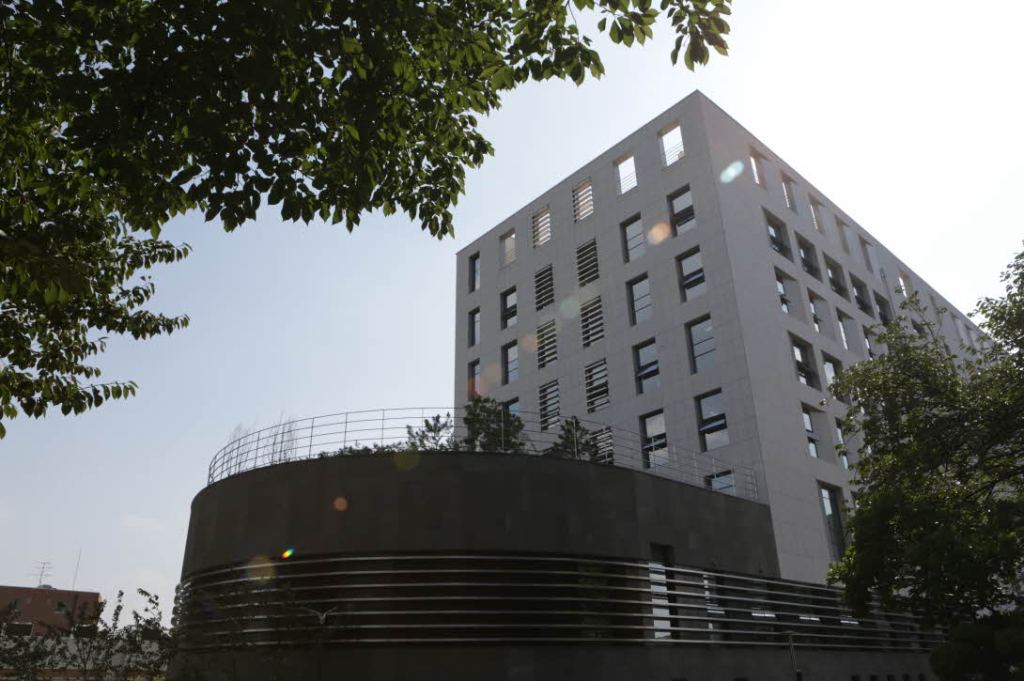 Introducing my Sogang&nbsp;students