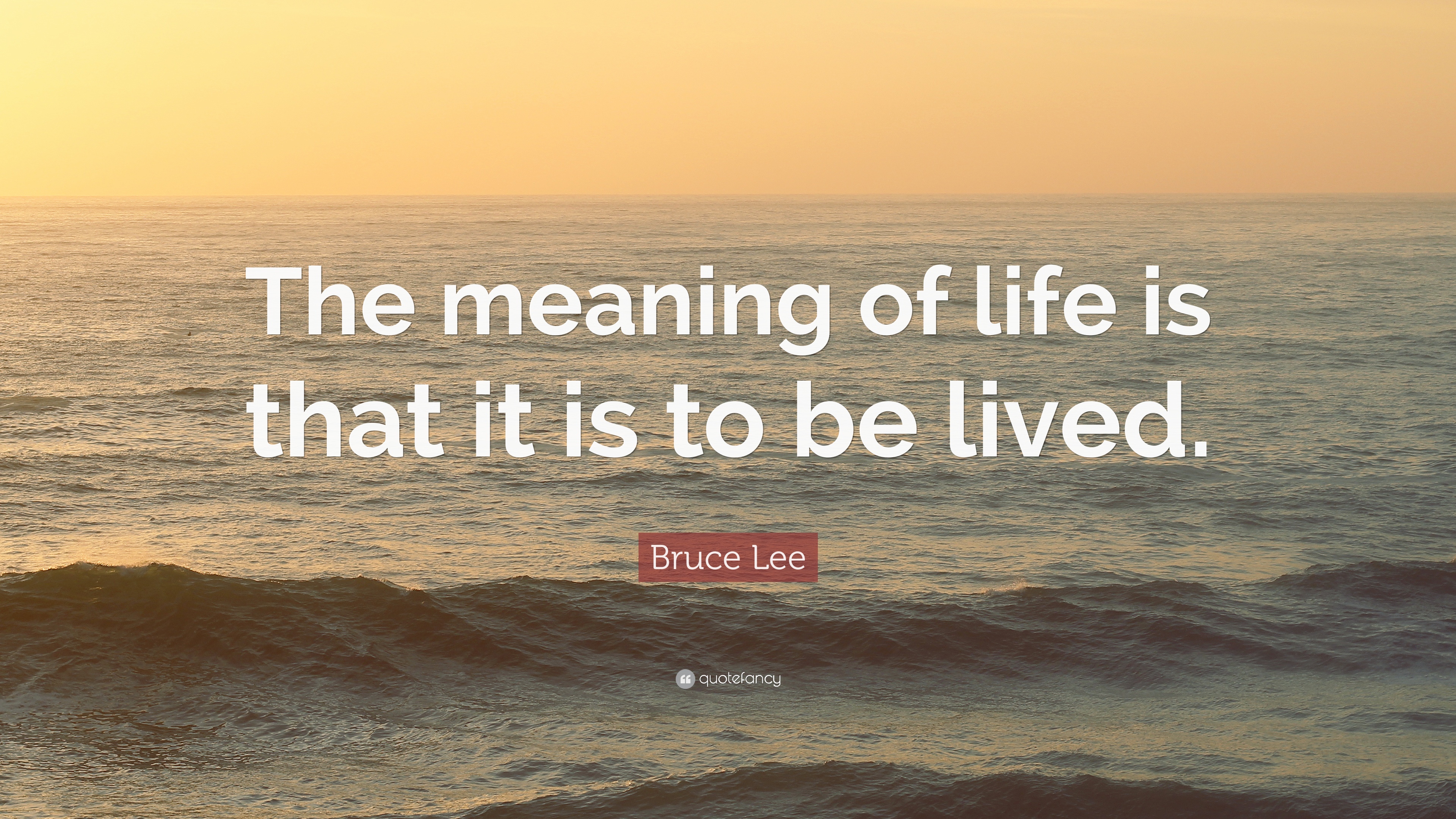 The meaning of life