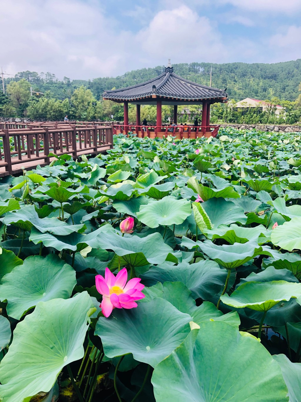 48 hours in Jeju&nbsp;Island