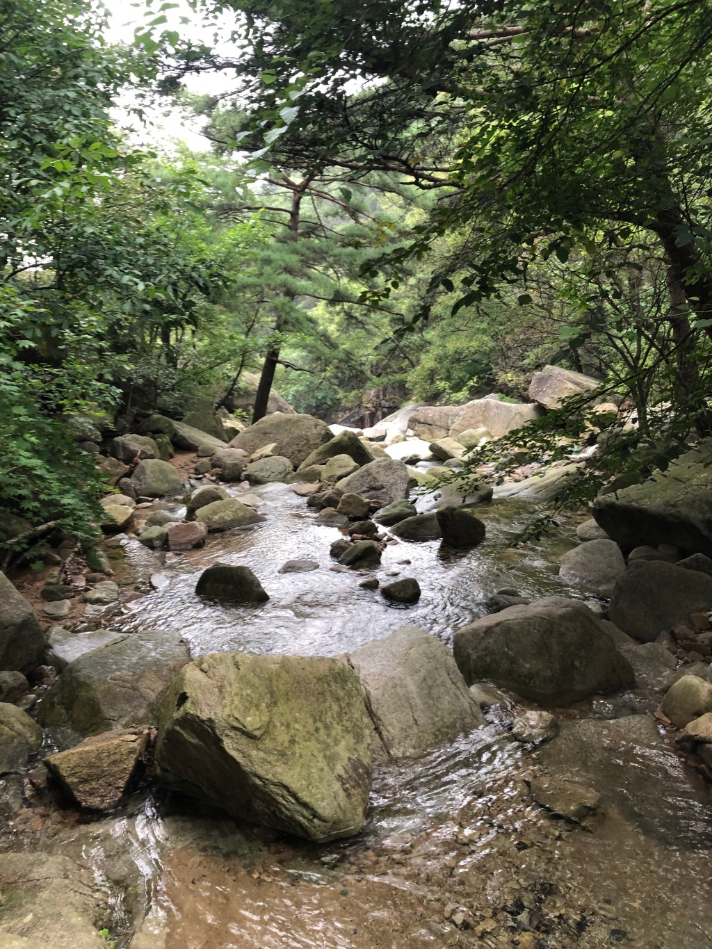 My Chuseok family&nbsp;trip