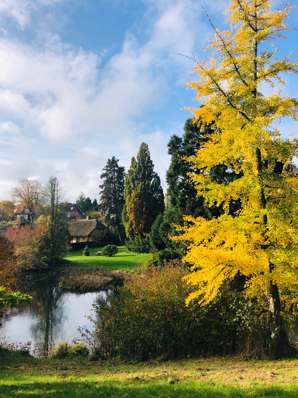 Staying motivated(?)