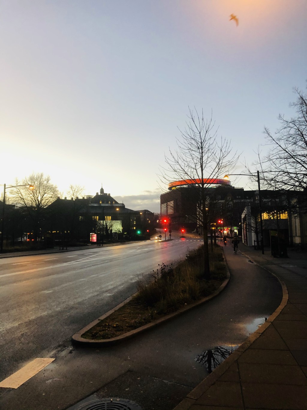 Rays of light in the&nbsp;dark