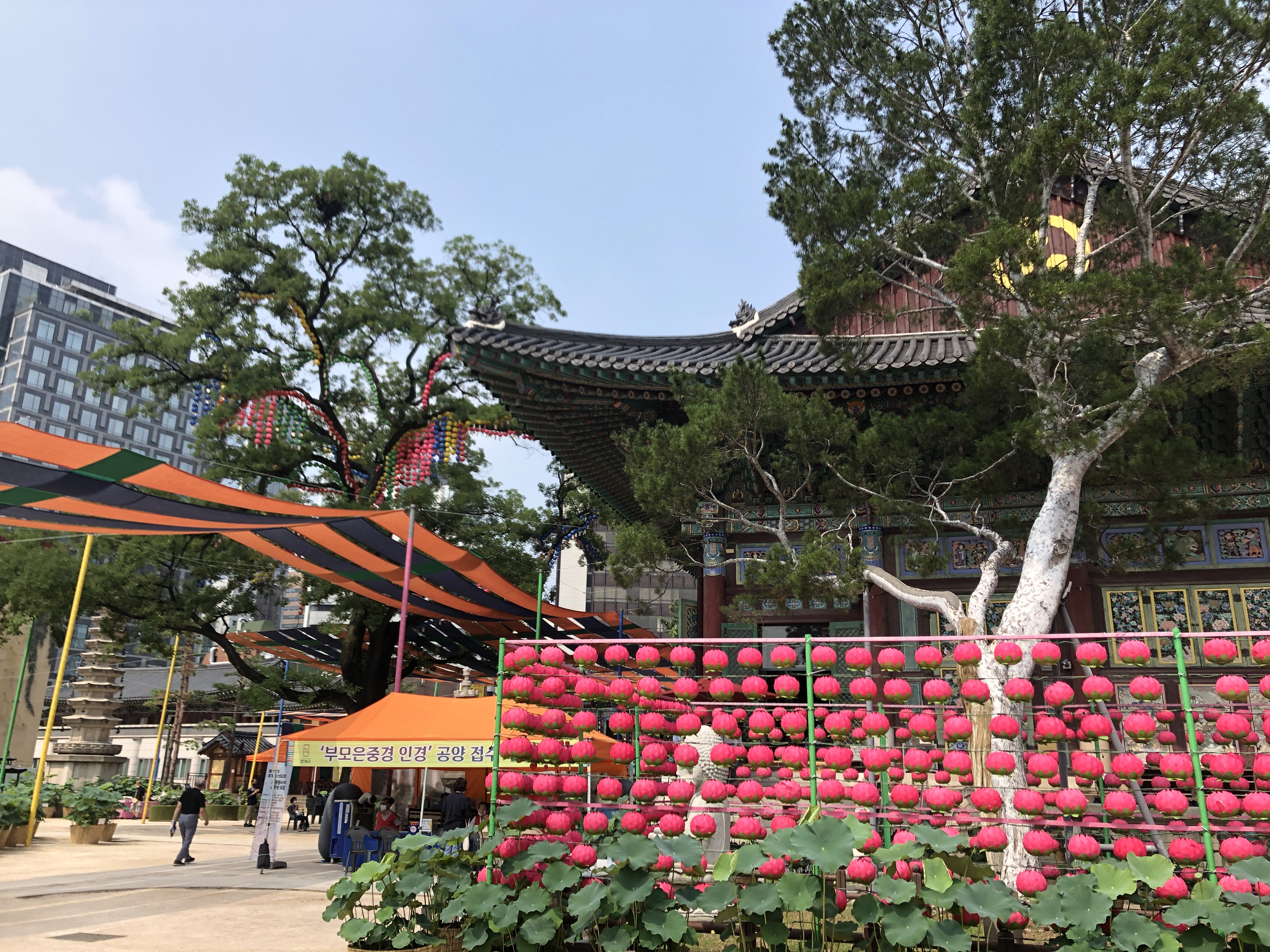 Korea diaries vol. 1