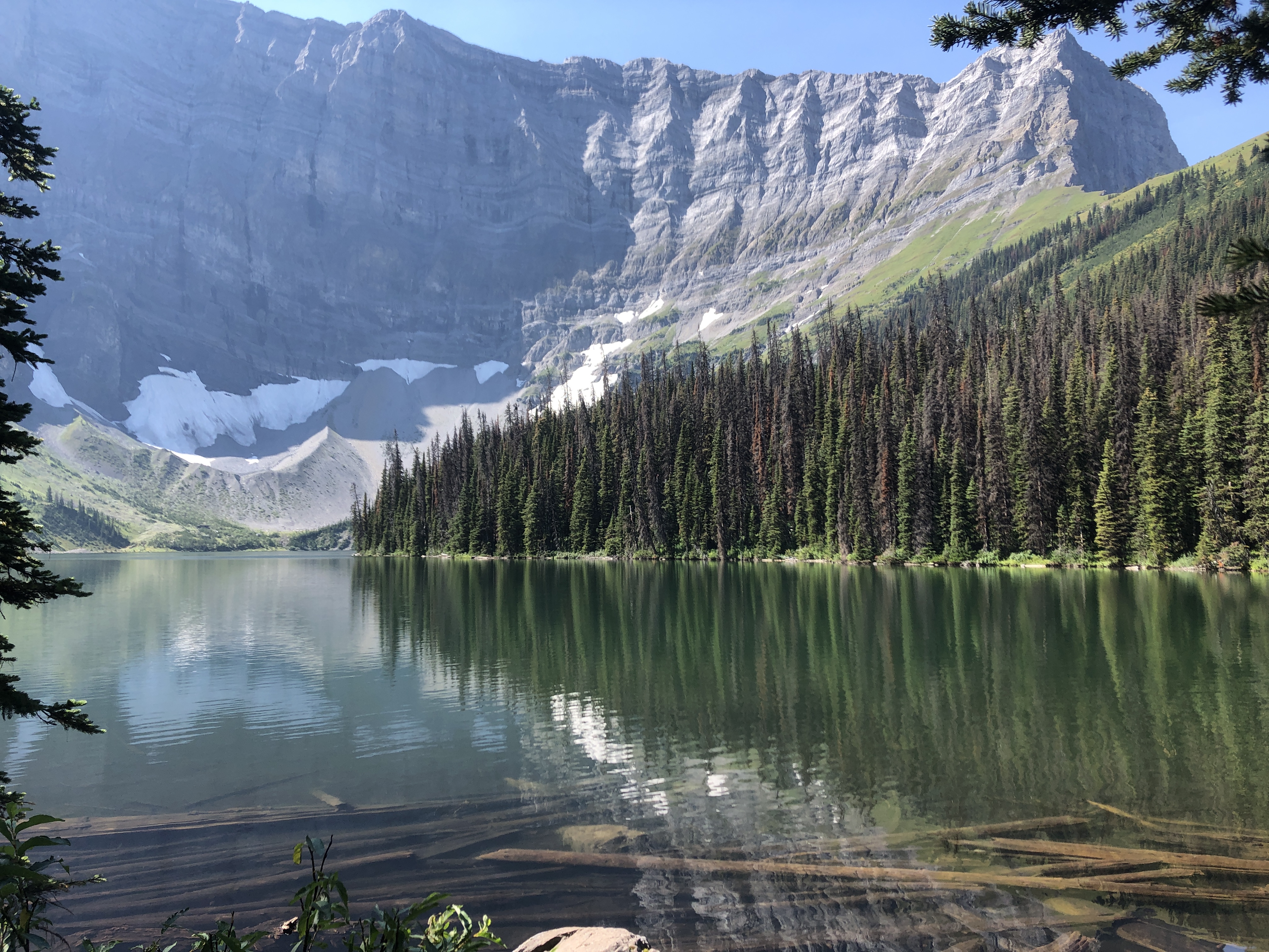 Canada, covid, and cramming for the JLPT