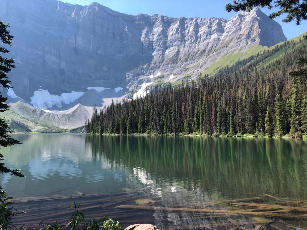 Canada, covid, and cramming for the&nbsp;JLPT