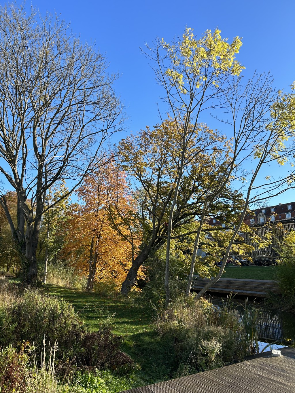 Keep pushing, keep&nbsp;learning