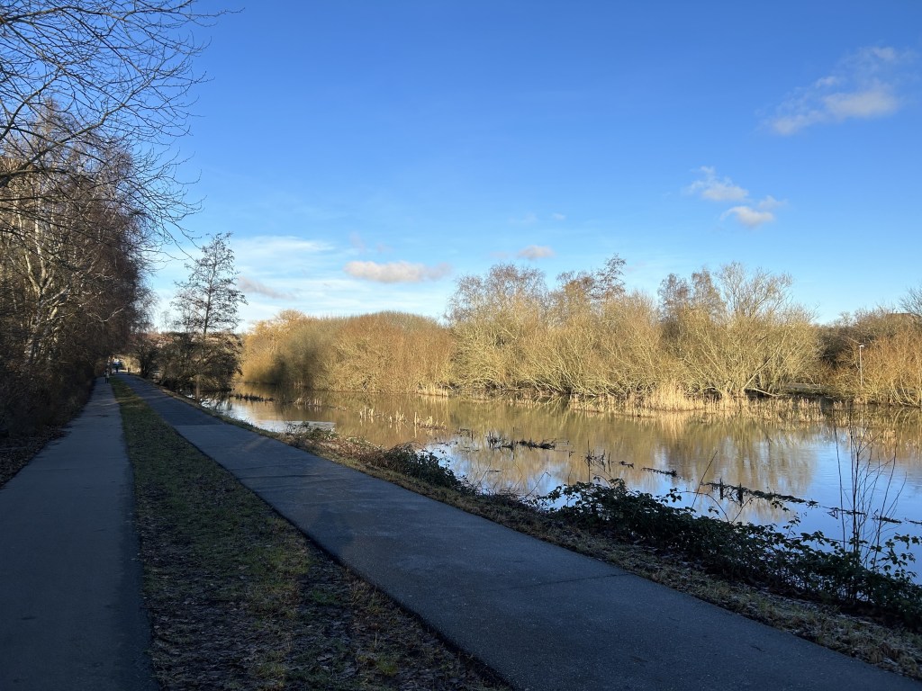 My JLPT N3&nbsp;results