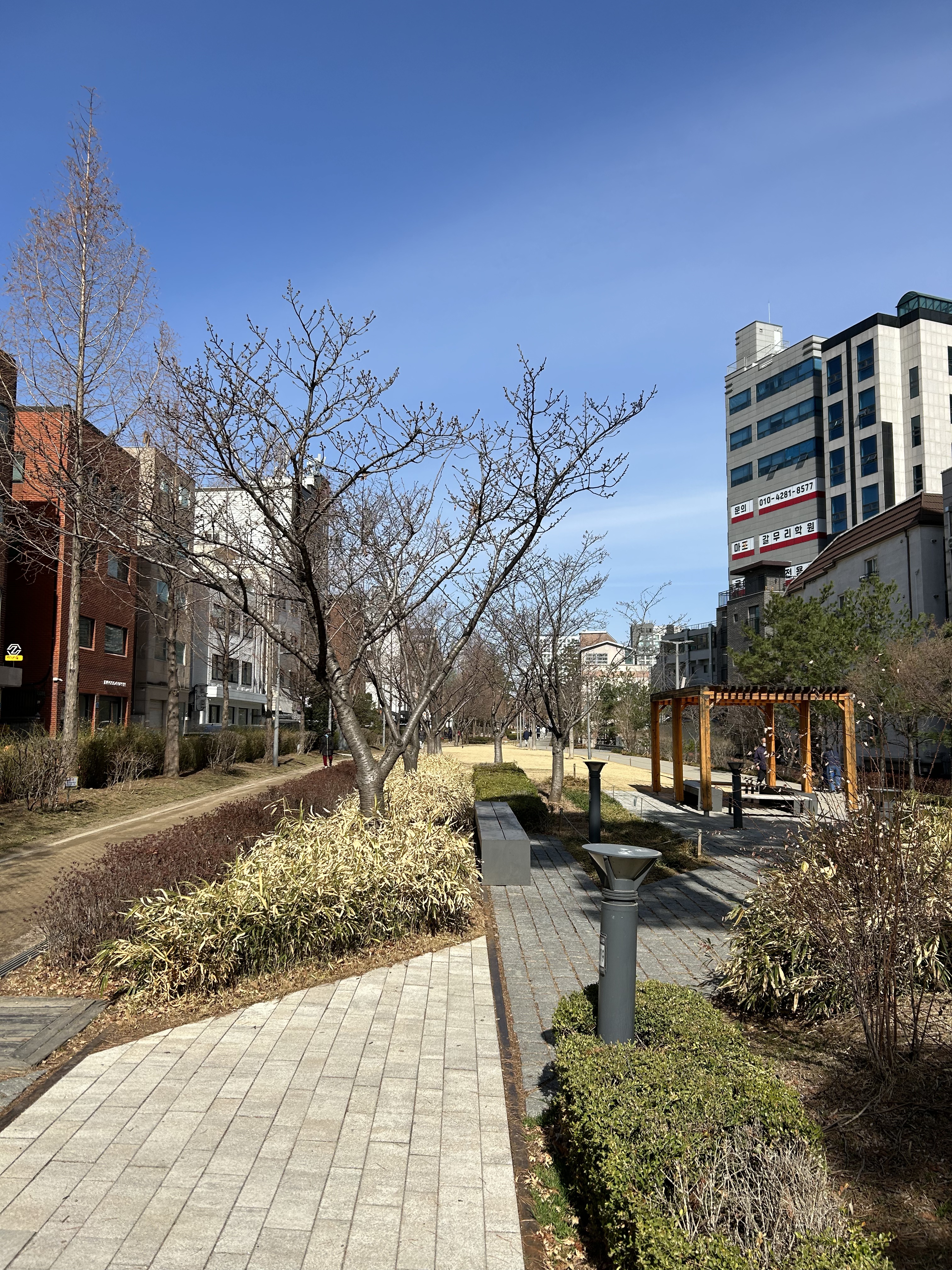 Spring in Seoul, part 2